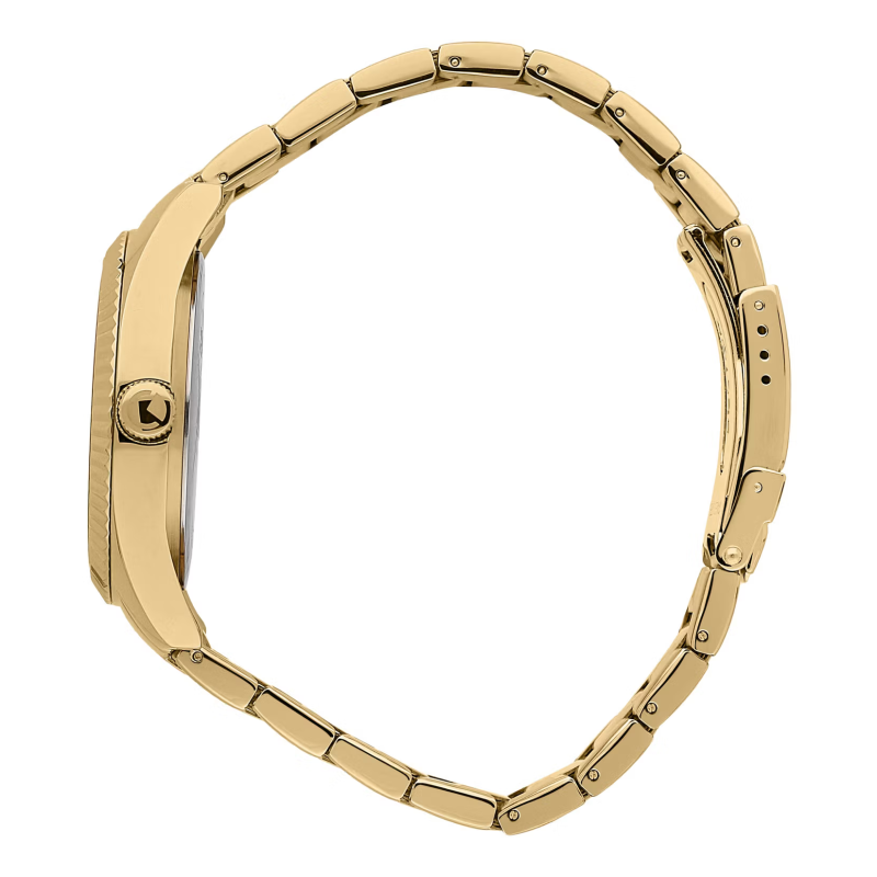 Sector 240 R3253240026 Gold quartz men's watch