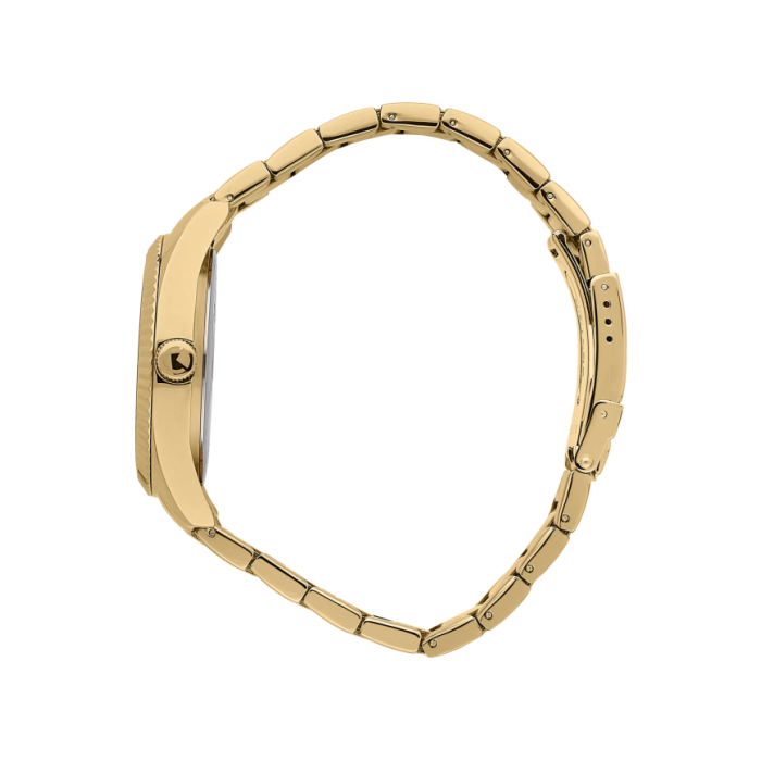 Sector 240 R3253240026 Gold quartz men's watch